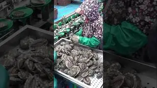 Extreme work! Abalone farms that work and produce on the sea. Korean Seafood
