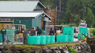 Sea Level Seafoods, Wrangell, AK