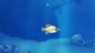Feeding frenzy mod!!&ndash;MARUOT!!