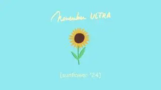 november ultra - sunflower '24 (official audio)