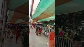Kawar Yatra Sultanganj se Deoghar।।Bol Bam Saavan Mela।।Deoghar TV Digital।।
