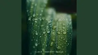 Serenity Shower