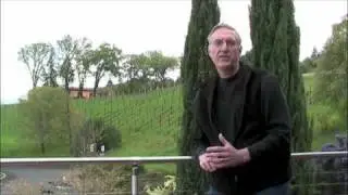The Route of the Napa Valley Vine Trail