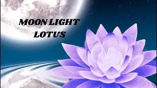 528 Hz Frequency | Healing Energy with Lotus in Moonlight | DNA Repair &bull; Spiritual Awakening