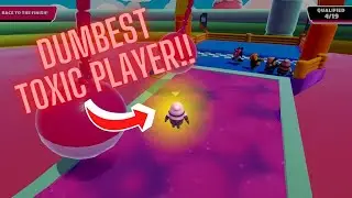 Fall Guys Toxic Player and Insane Hackers!! | Fall Guys Best Moments #4
