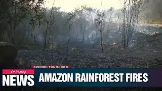 Wildfires in Amazon Rainforest hit record high in July, climate change cited as reason