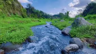 Sleep Soundly with Calming River Sounds & Views of Flowing Water Over Rocks in a Peaceful Forest