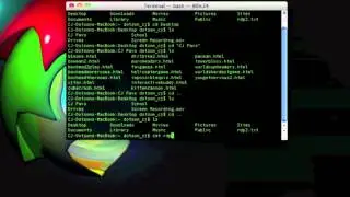 Terminal Tutorial 1