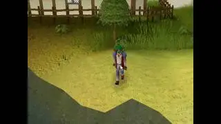 theoness skillcapes