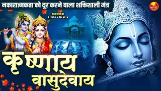 Om Krishnaya Vasudevaya Haraye Paramatmane 108 Times | Krishna Bhakti Mantra | कृष्णाय वासुदेवाय