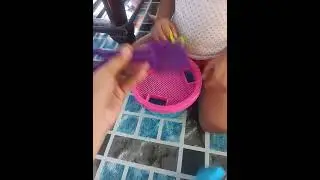 ASMR🎀#most #trending #shorts #viral #satisfying #sounds #starfish/Rhey Roda-untalan 🌈🦋