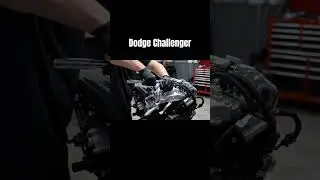 From Junk to Beast 🧨 | Dodge Challenger Restoration 🔥