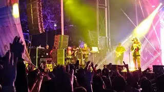 Tribal Seeds- 