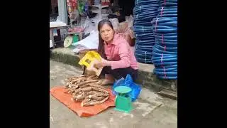 Single mother Designing a bed with bamboo for her daughter - harvesting cassava to sell