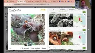 Identifying fungi on iNaturlist QMS presentation supplement