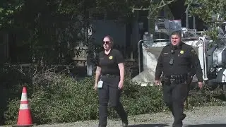 Tree-trimmer killed in Menlo Park wood chipper accident