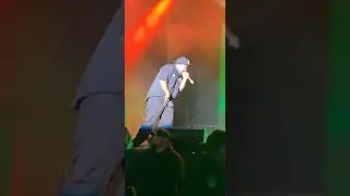 ICE CUBE 2019 Cannabis Cup