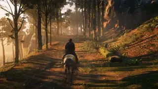 Red Dead Redemption 2 /// RTX 4070 Super + i9 10900f  ///   2160p (4k)
