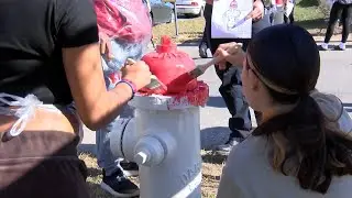 Adding a creative touch to fire hydrants