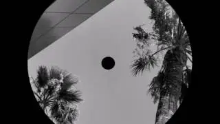 B&Lambda;NJ - Rhds Palm Trees