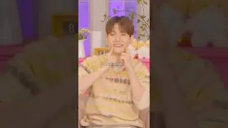 Main Vocalist of Each Kpop Groups - part1