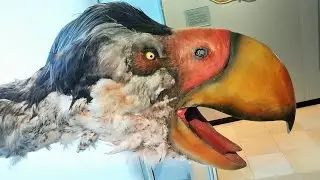 WILLIBALDSBURG JURAMUSEUM ARCHAEOPTERYX LITHOGRAPHICA ZEITREISE INS JURA-MEER