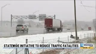 Statewide initiative to reduce traffic fatalities