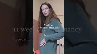 Размер ребенка на 11 неделе беременности