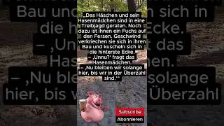 Alltags-Witze: So funny ist das Leben!