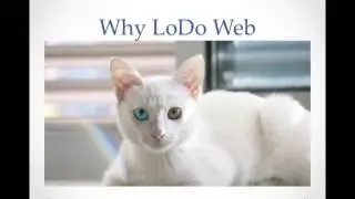 Web Designer Denver