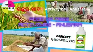 ଗଛର ଖାଦ୍ୟ Activzyme Anusara | Food of tree Activzyme Anusara | Yes you can Odia
