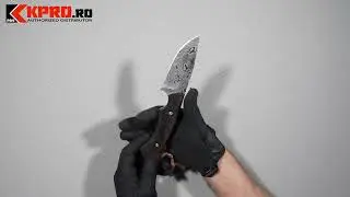 Cutit vanatoare Damasc Laser Albainox 9.5 32613 - Unboxing