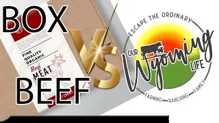 Box Beef vs Our Wyoming Life