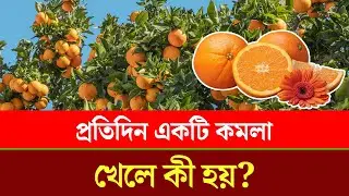 প্রতিদিন একটি কমলা খেলে কী হয়? | Orange | health update | Chattogram Somoy | চট্টগ্রাম সময়