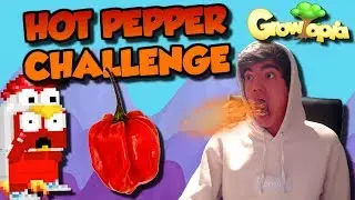 Growtopia - Hot pepper parkour challenge!!