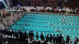W 200 Back