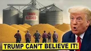 Farm Belt Crisis: Trump's Trade War Fallout