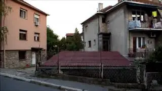 Boris Martić - Asimilacija