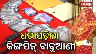 Three including lady mafia arrested; car and 555 gram brown sugar seized | Kalinga TV