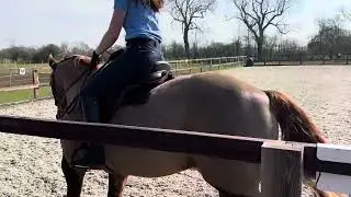 GRS March Comp - Bex Kelly & Galtee Mountain Diamond - Prelim 2