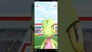 Pok&eacute;mon GO - Treecko Raid