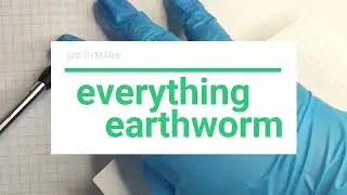 Do earthworms have senses? | Discovering the Earthworm | Animal Sides
