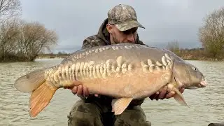 Coking farm long lake The Southampton Carper's