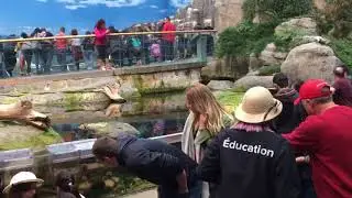 Biodome  Montreal 2017