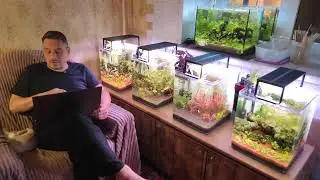 Прямой эфир 1 февраля 2026 г.