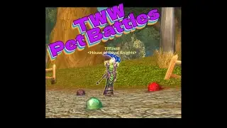 TWW Pet Battle Major Malfunction Daily