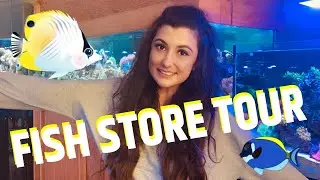 MASSIVE LOCAL FISH STORE TOUR!!