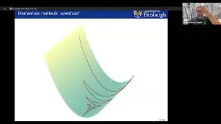 1W-MINDS, Jan. 22:  Stephan Wojtowytsch (University of Pittsburgh), &lsquo;Accelerated' Optimization in ML