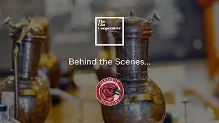 Behind the Scenes: Crossbill