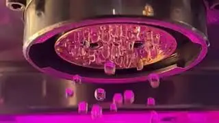 Shades of Coffee - RainFlow Dispersion Plate